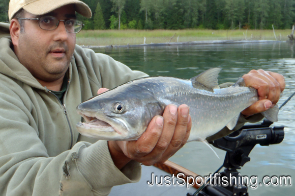 Photo of fisherman holding a bull trout.