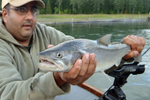 Fisherman holding a bull trout photo