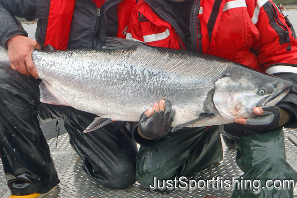 Two fisherman holding a large chinook salmon.