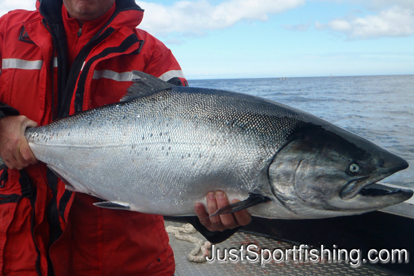 Photo of fisherman holding a big chinook salmon.