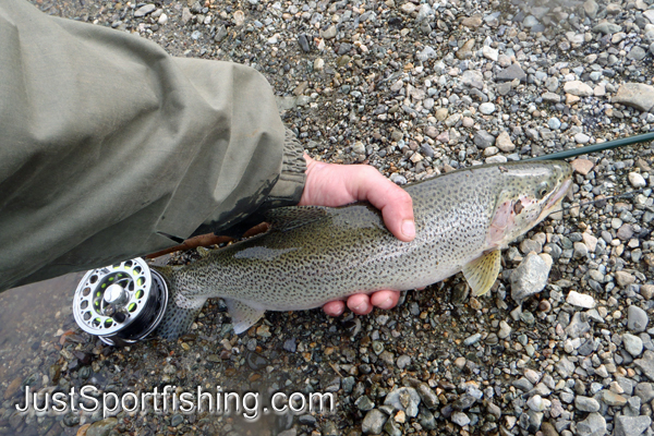 Fisherman holding a cutthroat trout by his fly rod.