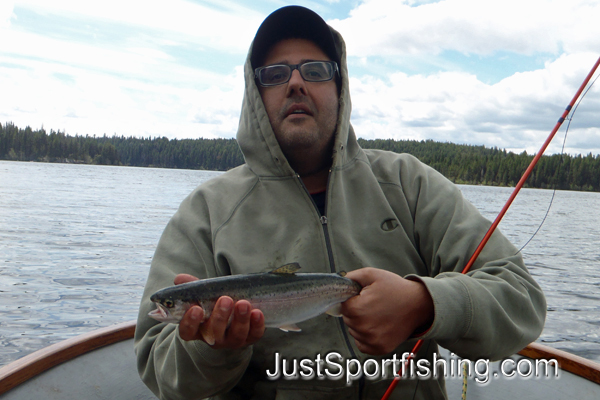 small rainbow trout being held by fisherman.