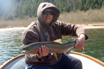 rainbow trout photo