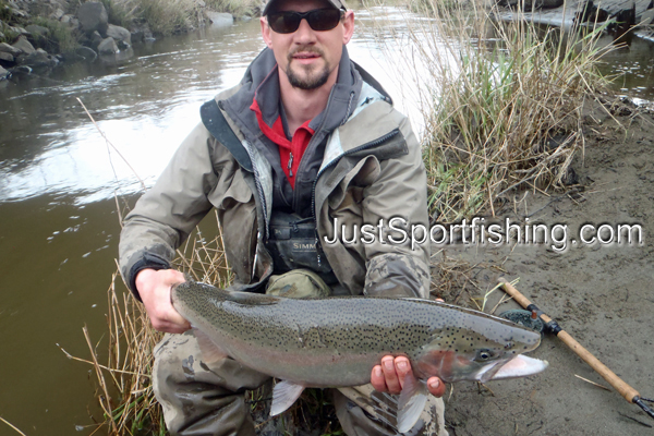 Photo of a fisherman holding a steelhead.