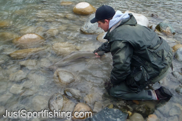 Fisherman releasing a steelhead.