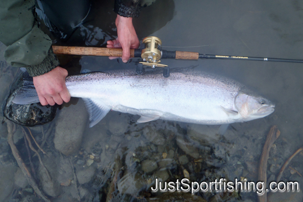 Fisherman holding steelhead trout beside his rod.