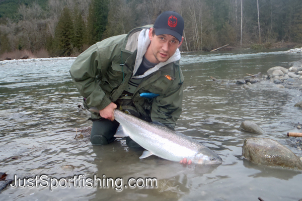 Fisherman releasing a steelhead trout into a river.