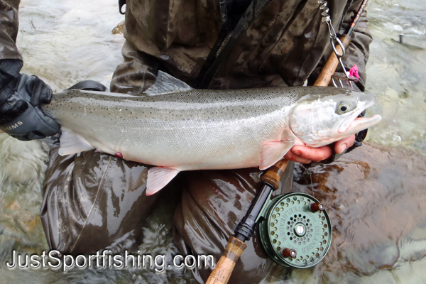 Fisherman kneeling at the rivers edge with a steelhead trout.