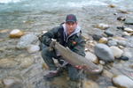 steelhead trout photo