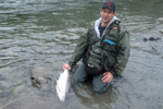 steelhead trout photo