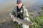 fisherman with steelhead trout photo